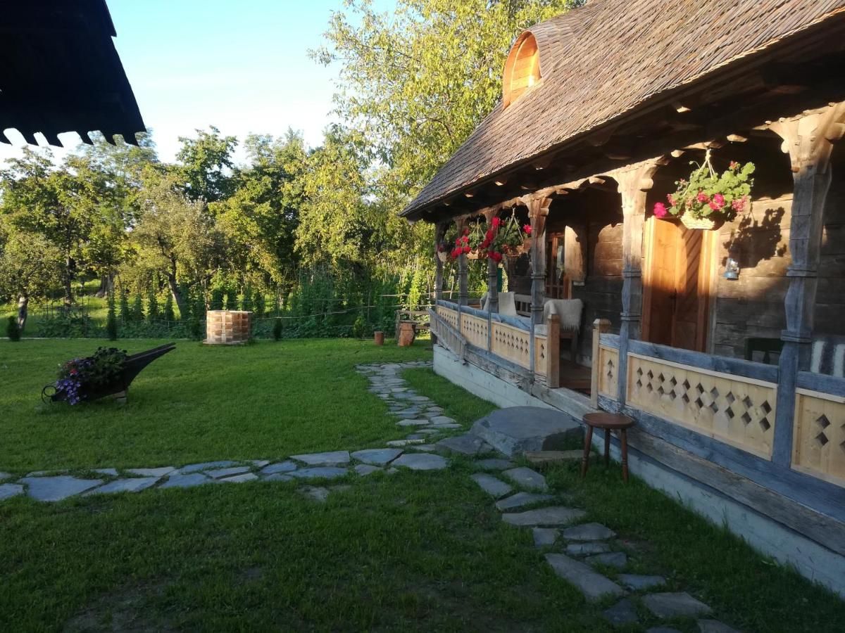 Гостевой дом Casa din Susani Călineşti-26