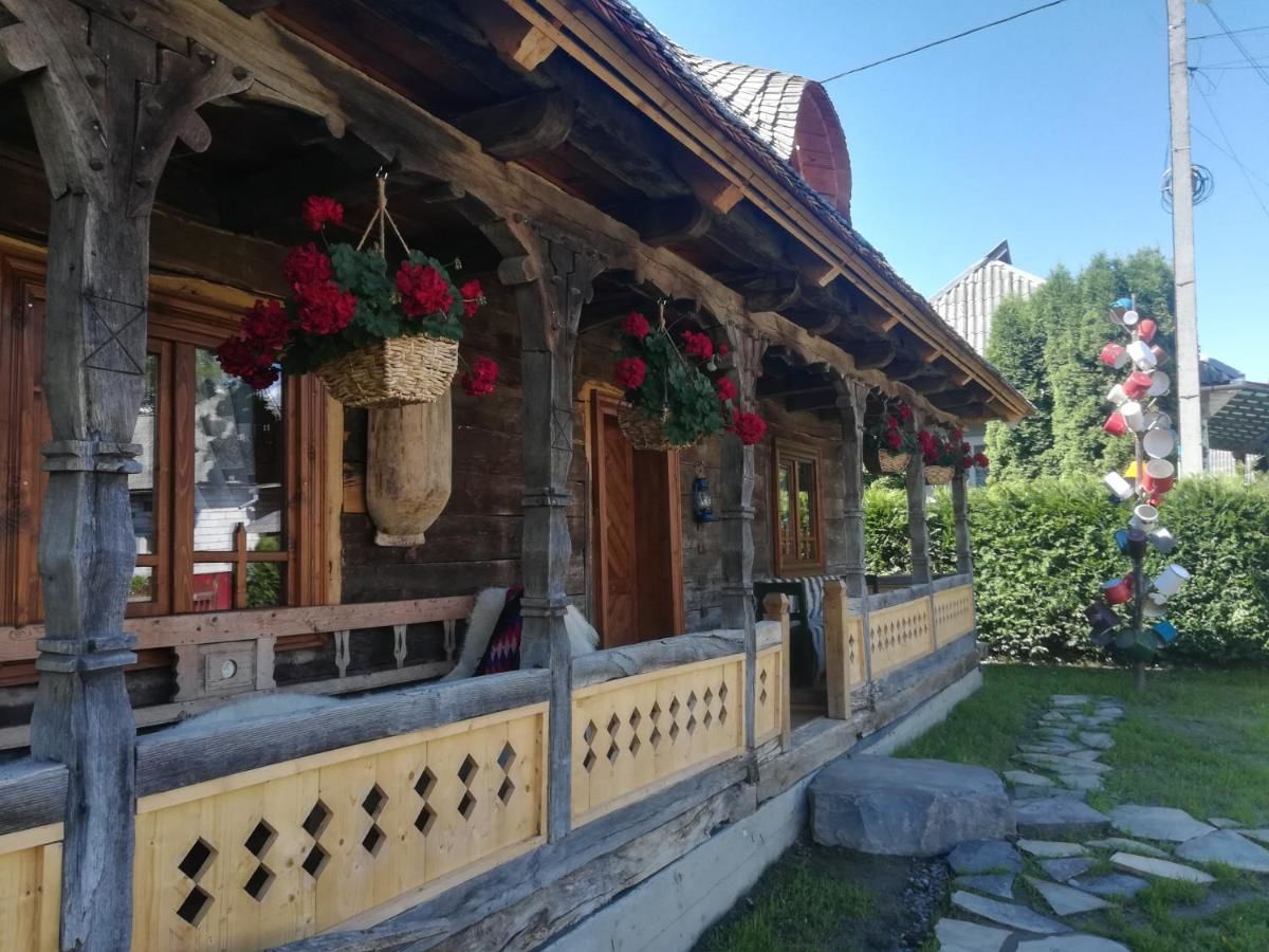 Гостевой дом Casa din Susani Călineşti-35