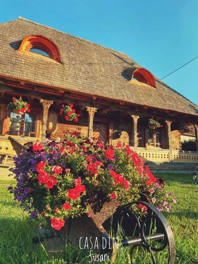 Гостевой дом Casa din Susani Călineşti-9